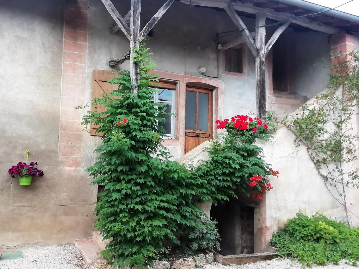 La Maison Moja Préty Kültér fotó